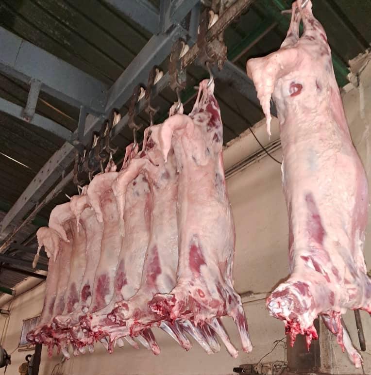 WhatsApp Image 2024-11-05 at 14.57.50