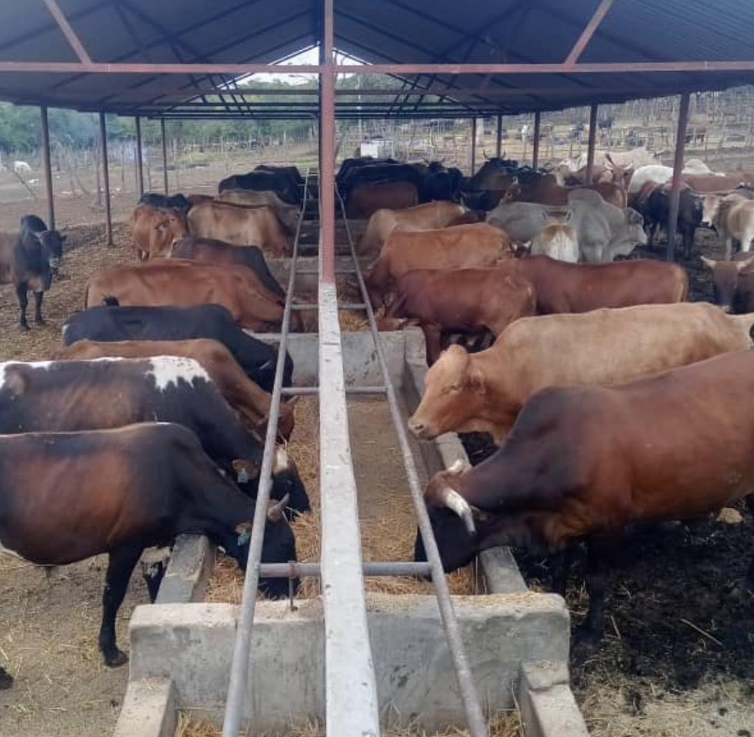 WhatsApp Image 2024-11-05 at 14.57.51 (3)